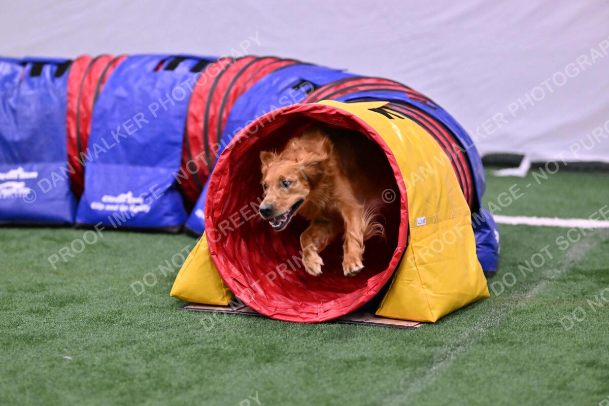 Mister-Rogers-Megan-Sapsford-05703