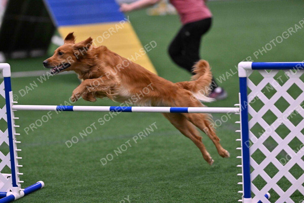 Mister-Rogers-Megan-Sapsford-05709