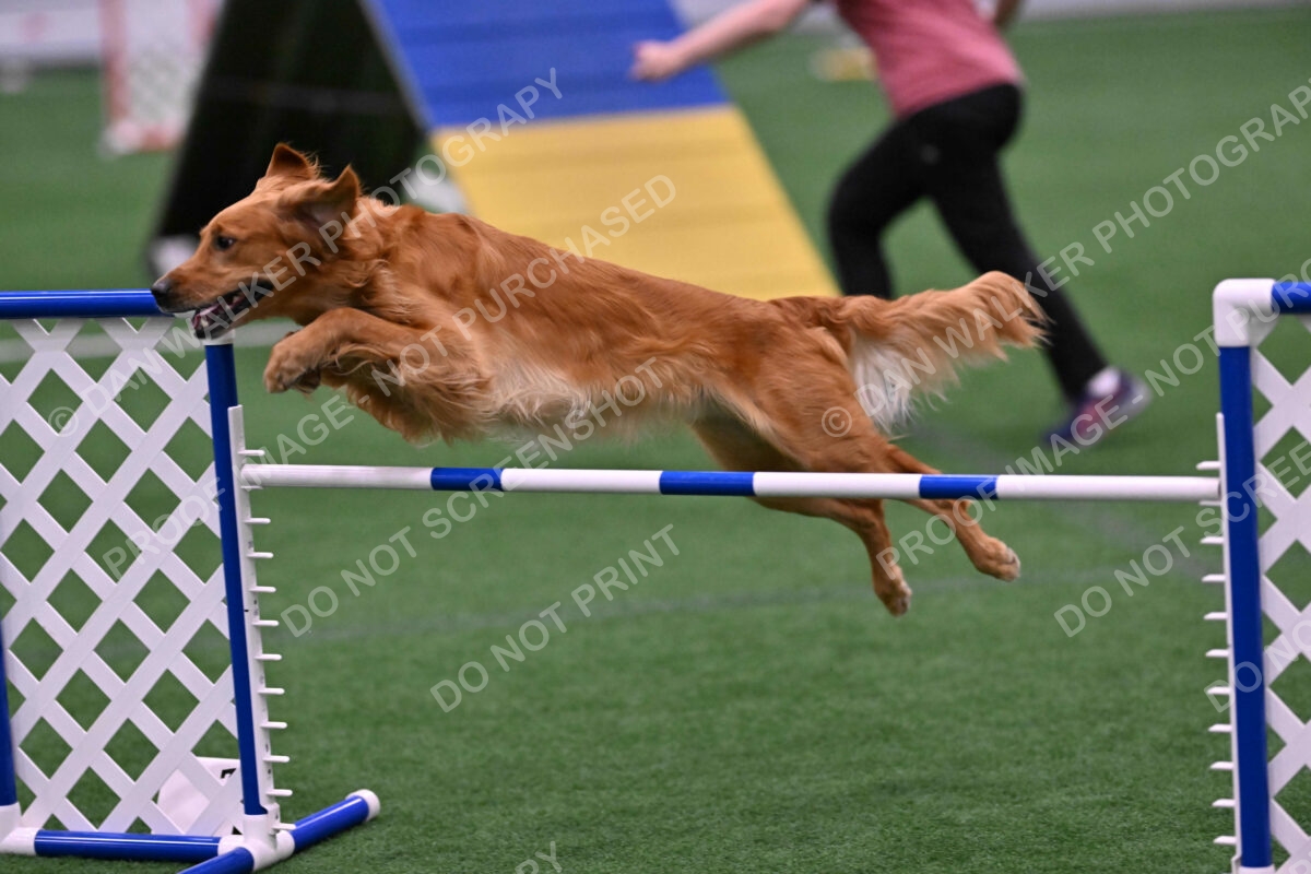 Mister-Rogers-Megan-Sapsford-05710