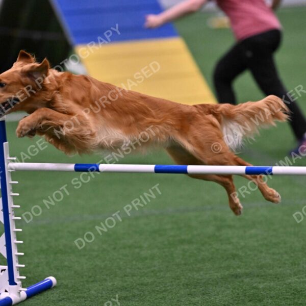 Mister-Rogers-Megan-Sapsford-05710