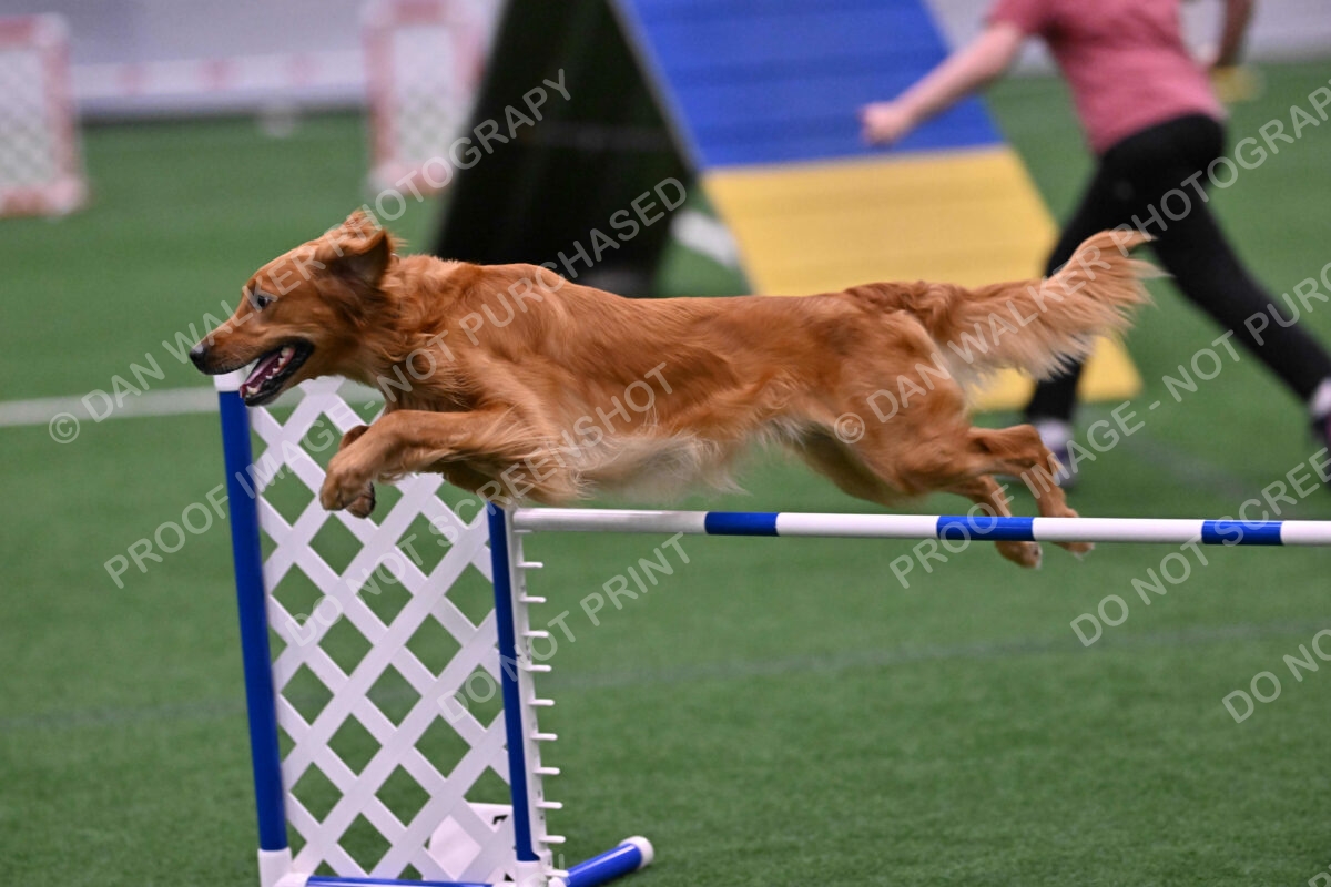 Mister-Rogers-Megan-Sapsford-05711