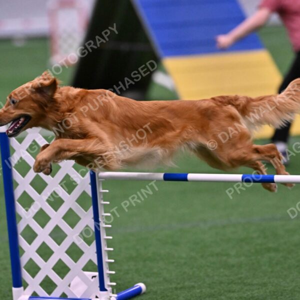 Mister-Rogers-Megan-Sapsford-05711