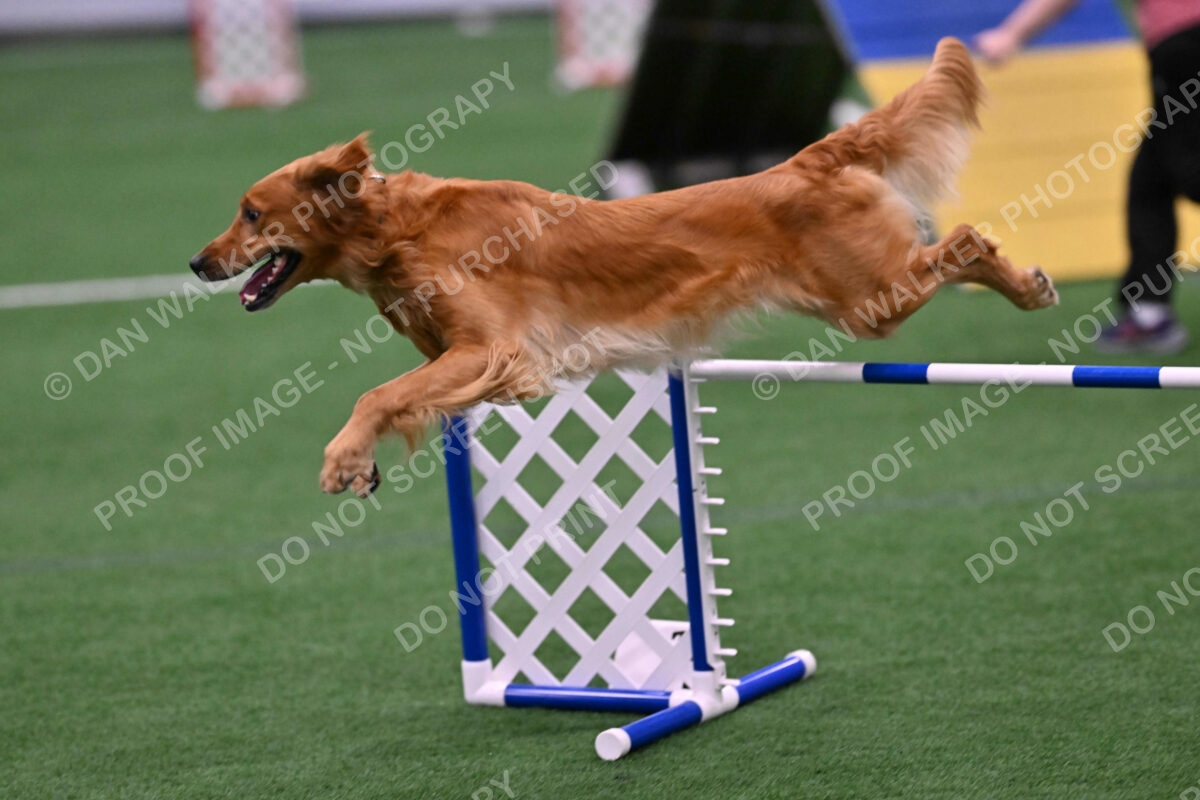 Mister-Rogers-Megan-Sapsford-05712