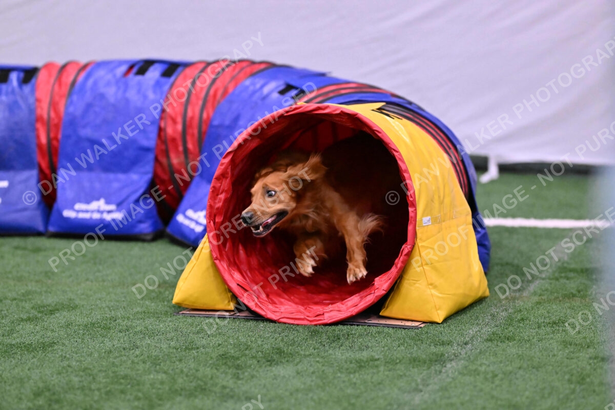 Mister-Rogers-Megan-Sapsford-05715