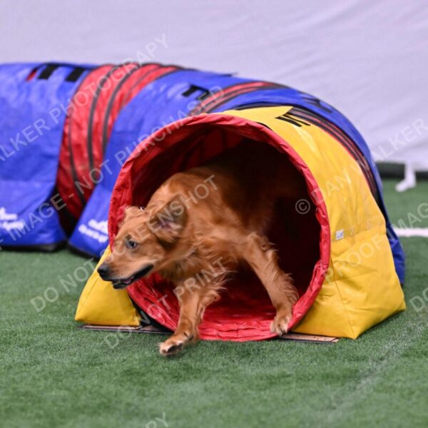 Mister-Rogers-Megan-Sapsford-05716