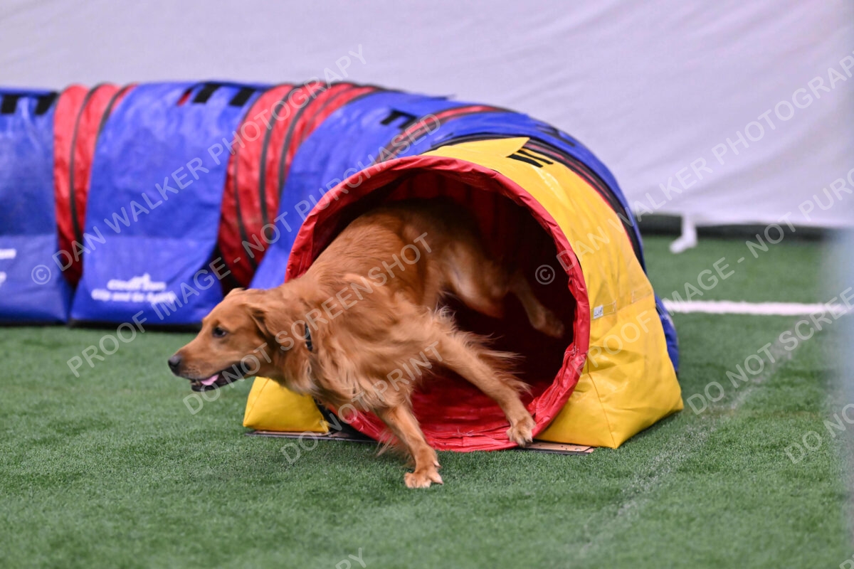 Mister-Rogers-Megan-Sapsford-05717