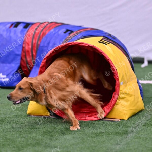 Mister-Rogers-Megan-Sapsford-05717