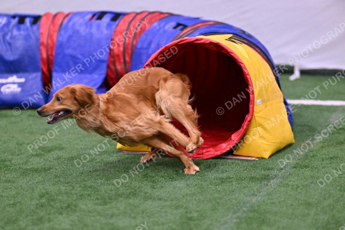 Mister-Rogers-Megan-Sapsford-05718