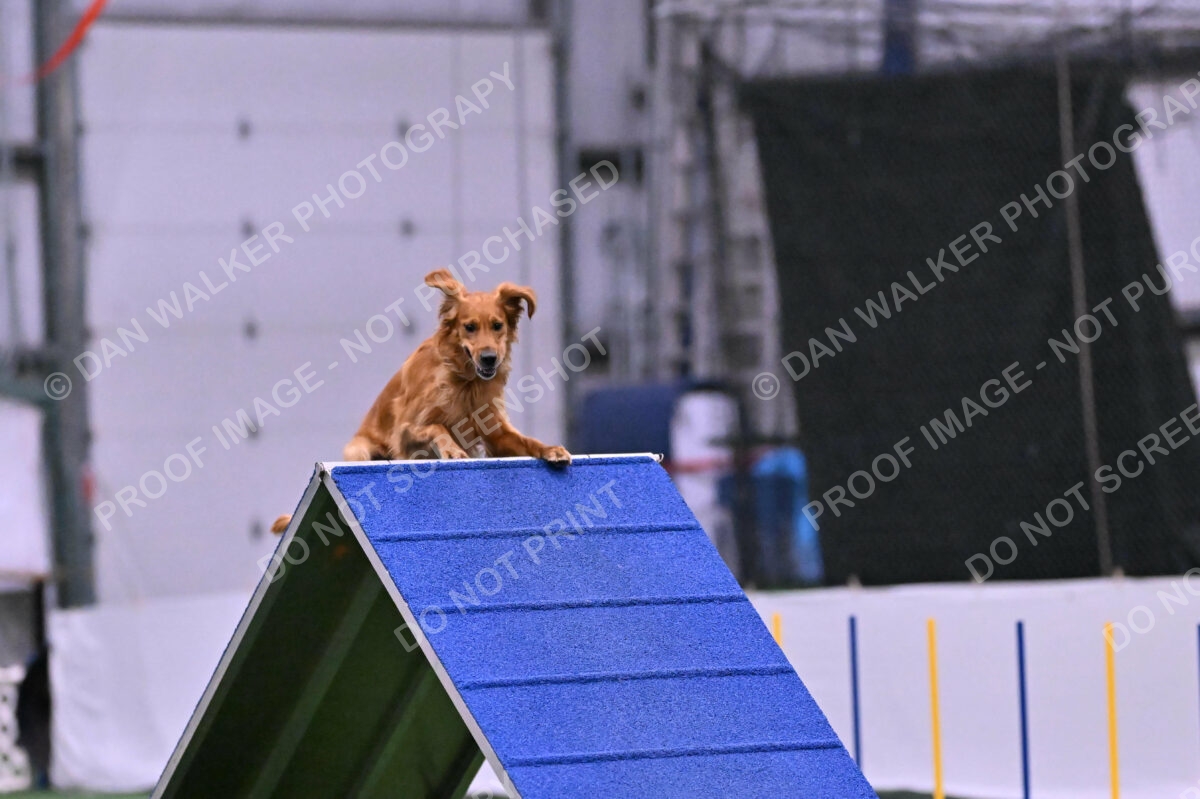 Mister-Rogers-Megan-Sapsford-05720