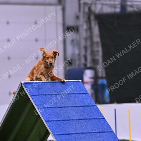 Mister-Rogers-Megan-Sapsford-05720