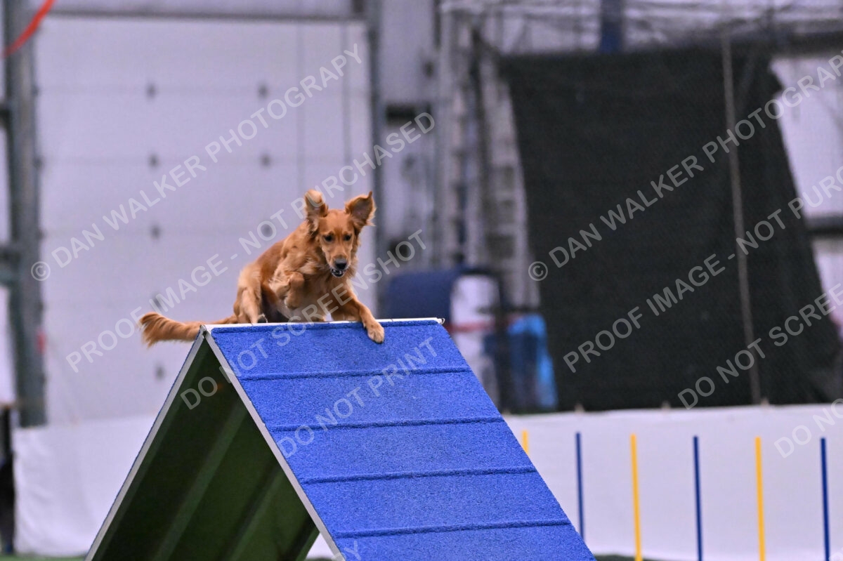 Mister-Rogers-Megan-Sapsford-05721