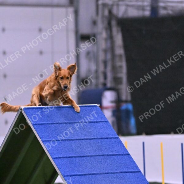 Mister-Rogers-Megan-Sapsford-05721