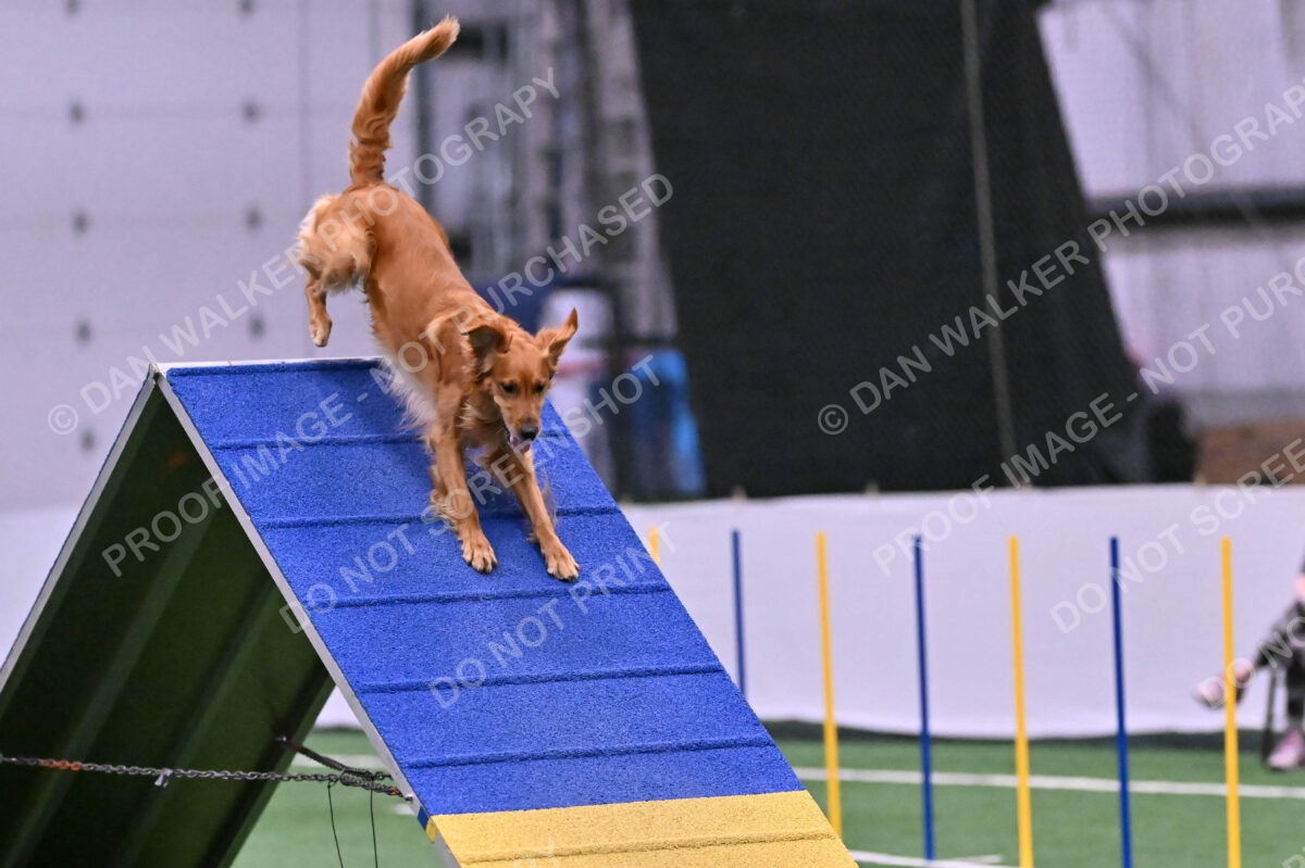 Mister-Rogers-Megan-Sapsford-05722