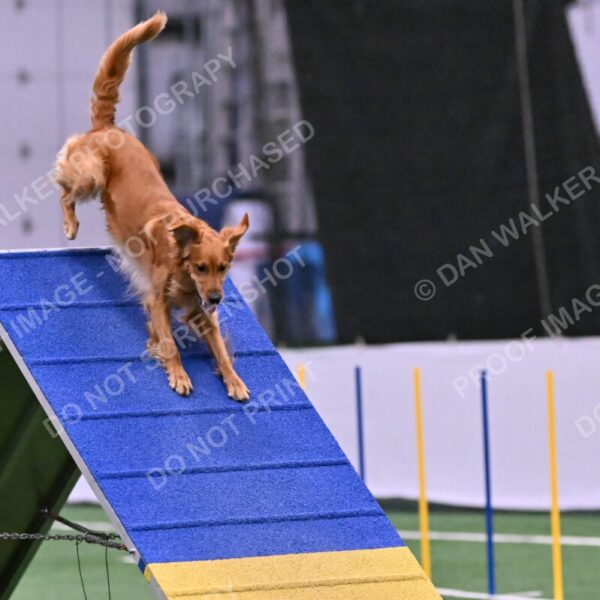 Mister-Rogers-Megan-Sapsford-05722