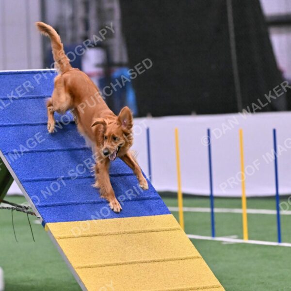 Mister-Rogers-Megan-Sapsford-05725