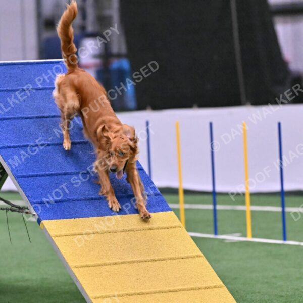 Mister-Rogers-Megan-Sapsford-05726