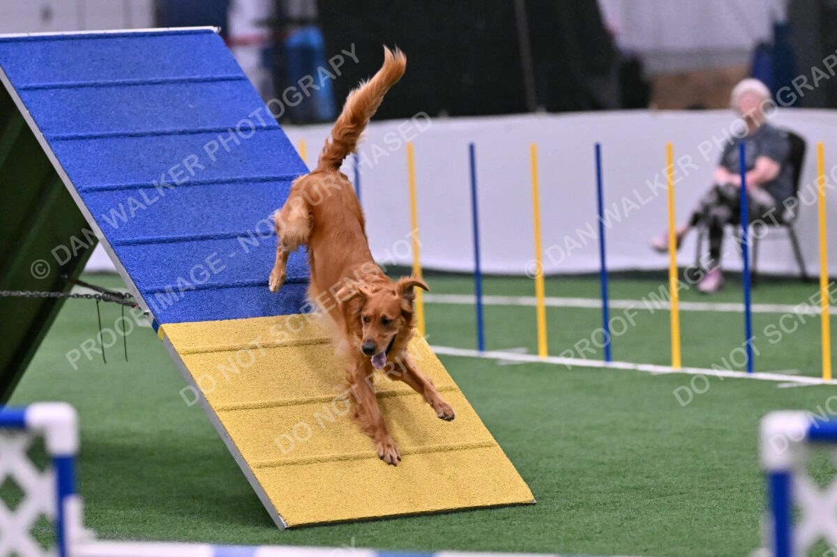 Mister-Rogers-Megan-Sapsford-05730