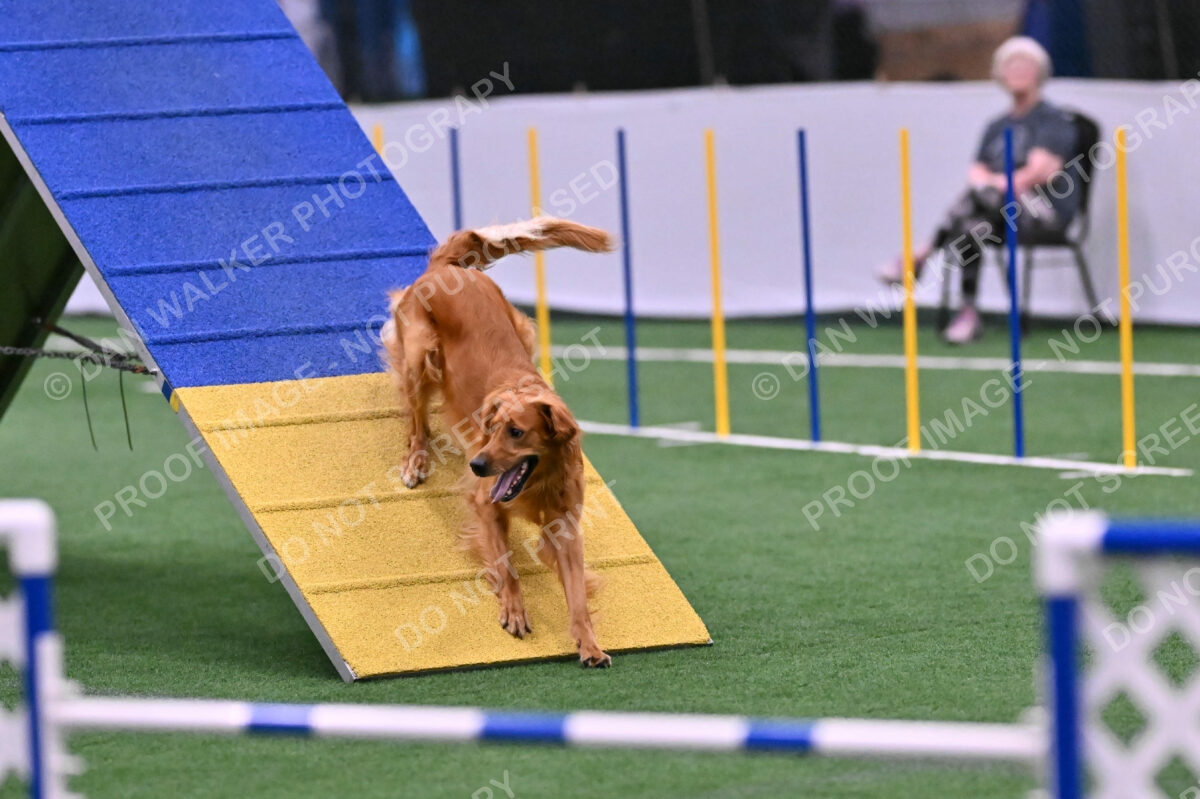 Mister-Rogers-Megan-Sapsford-05732