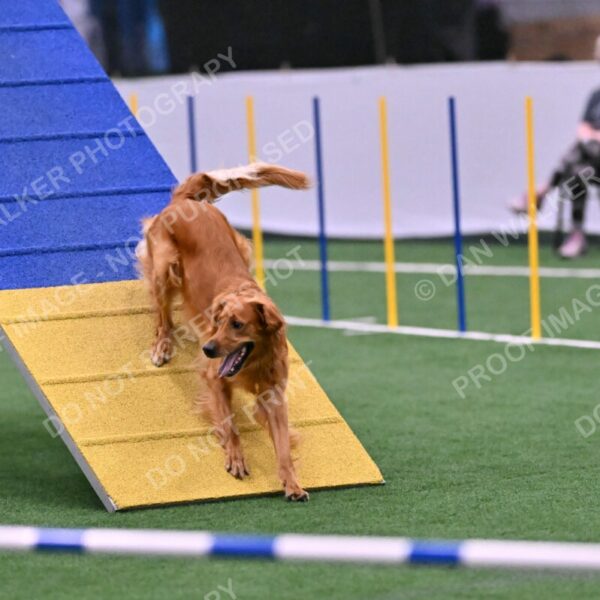 Mister-Rogers-Megan-Sapsford-05732