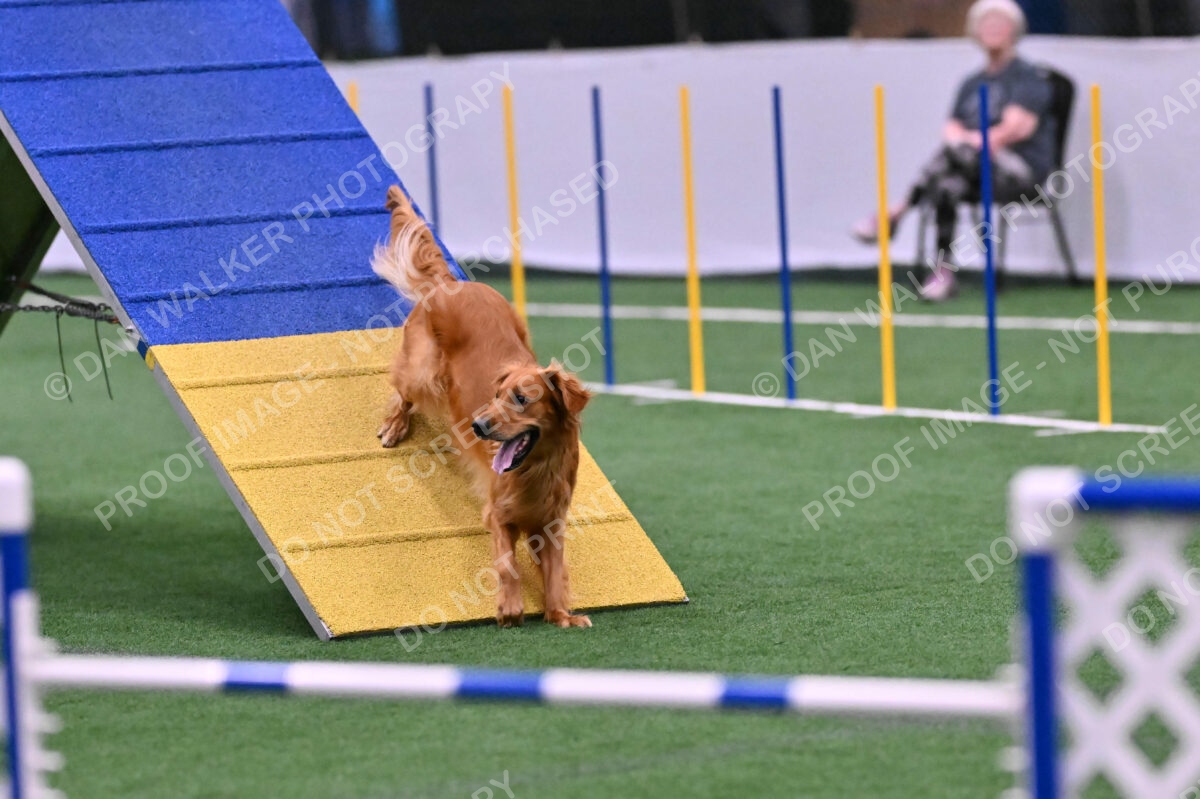 Mister-Rogers-Megan-Sapsford-05733