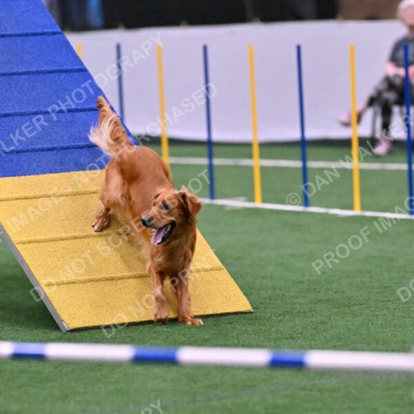 Mister-Rogers-Megan-Sapsford-05733