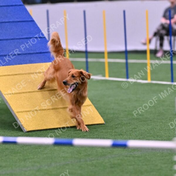 Mister-Rogers-Megan-Sapsford-05735