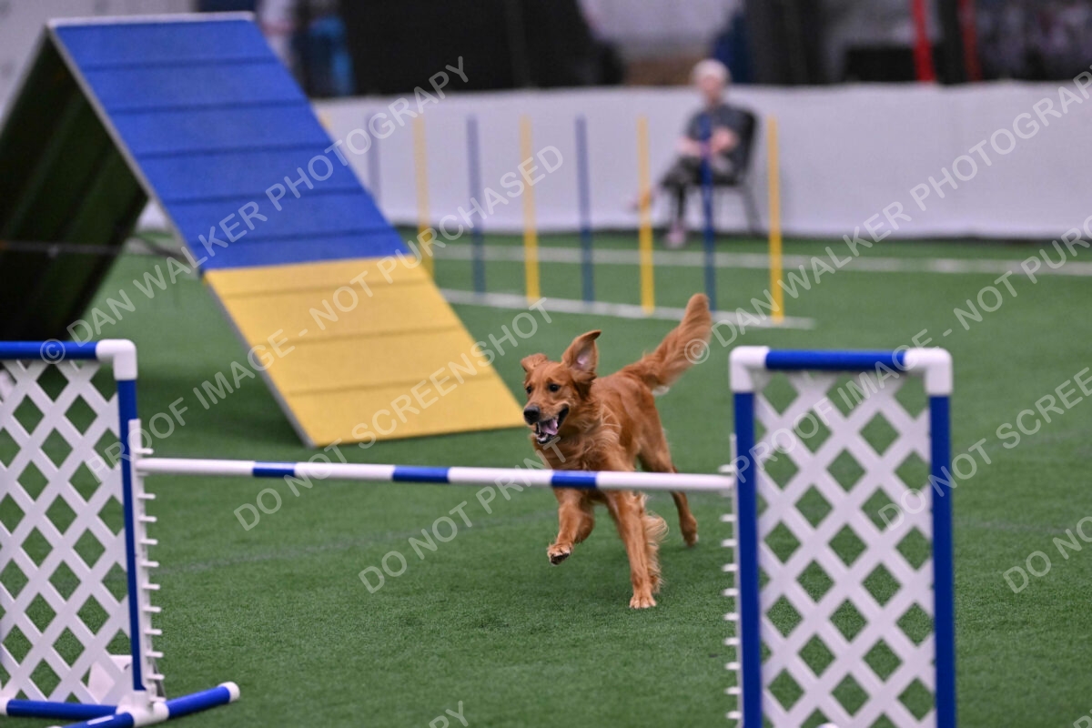 Mister-Rogers-Megan-Sapsford-05738