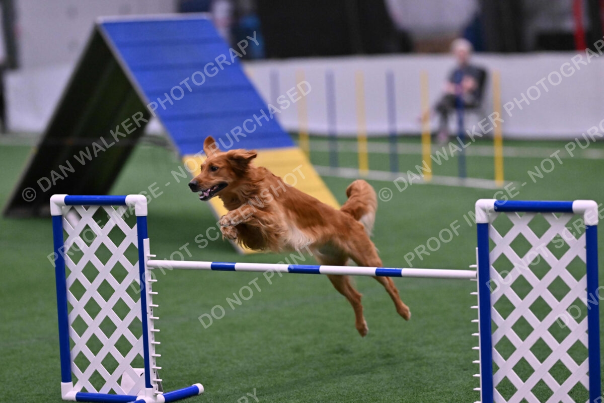 Mister-Rogers-Megan-Sapsford-05742