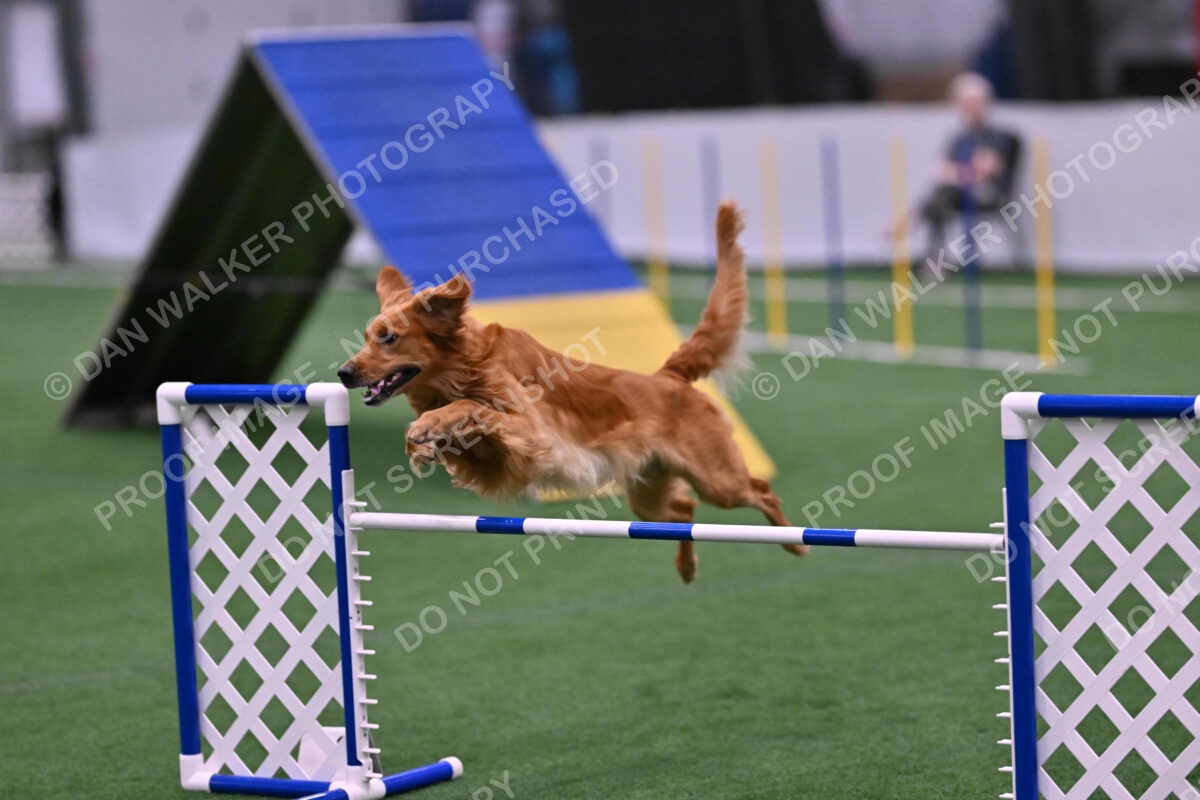 Mister-Rogers-Megan-Sapsford-05743