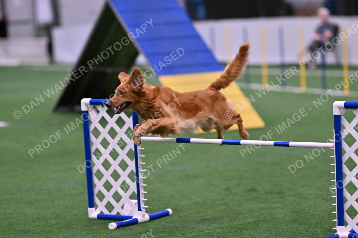 Mister-Rogers-Megan-Sapsford-05744