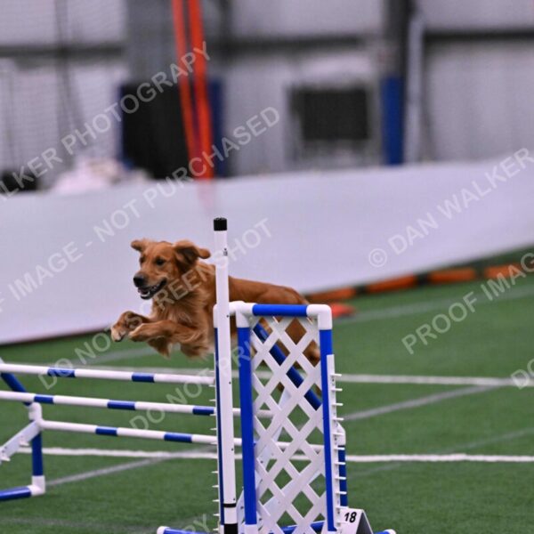 Mister-Rogers-Megan-Sapsford-05746