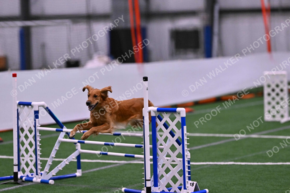 Mister-Rogers-Megan-Sapsford-05747