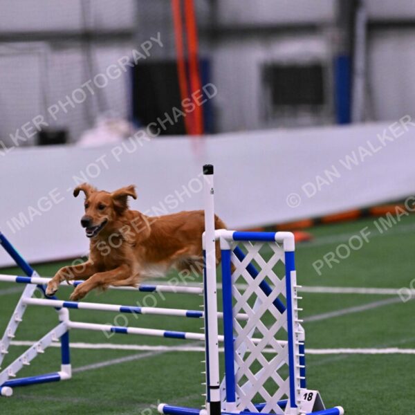 Mister-Rogers-Megan-Sapsford-05747