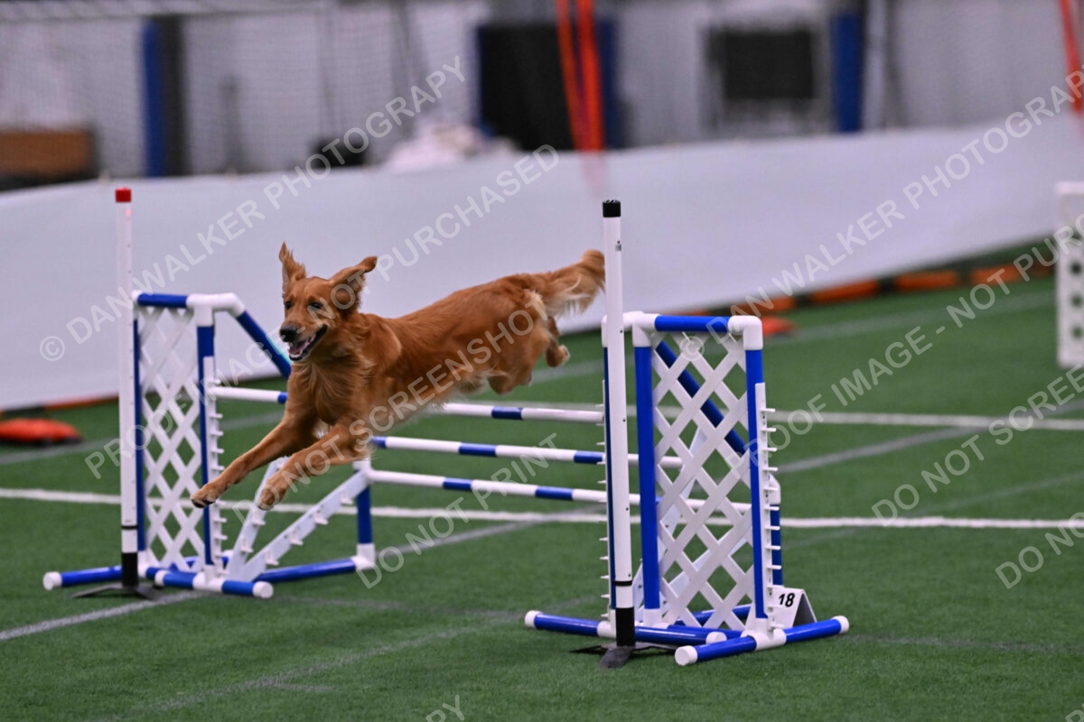 Mister-Rogers-Megan-Sapsford-05748