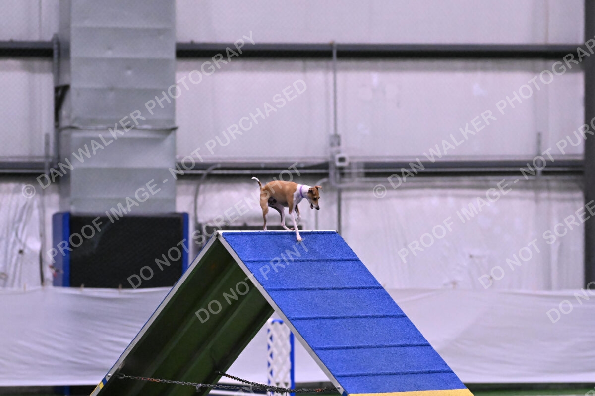 Nori-Tia-Lindeman-09523