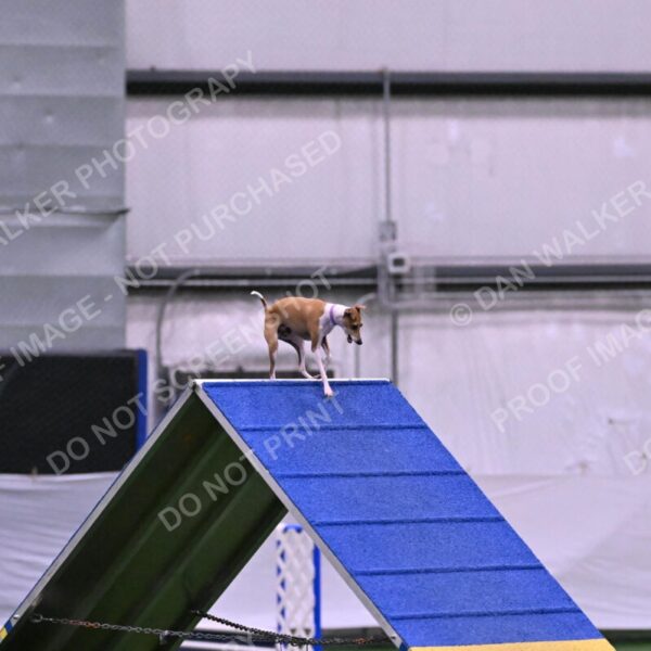 Nori-Tia-Lindeman-09523