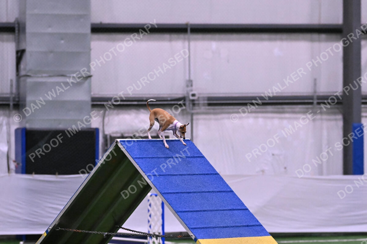 Nori-Tia-Lindeman-09525