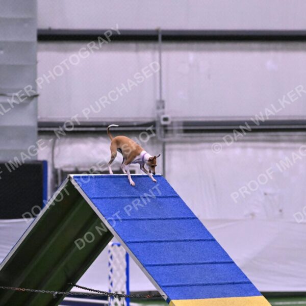 Nori-Tia-Lindeman-09525