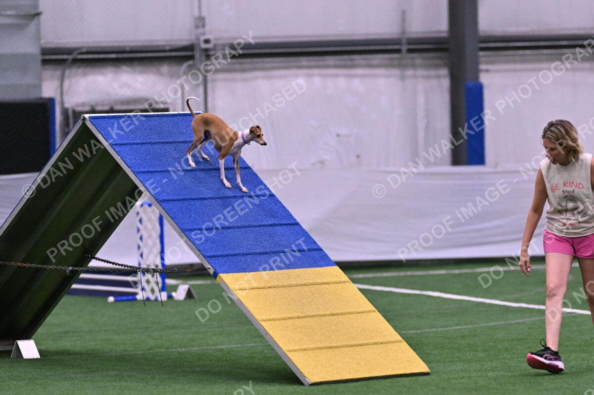 Nori-Tia-Lindeman-09528