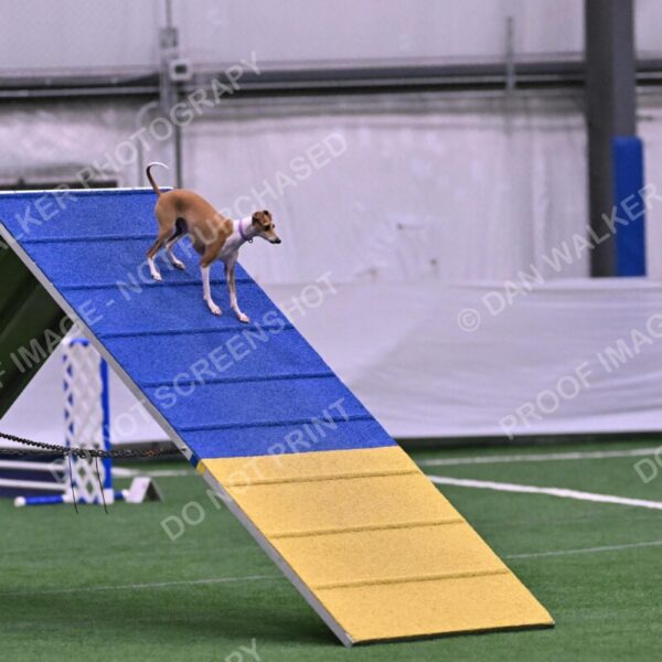 Nori-Tia-Lindeman-09528