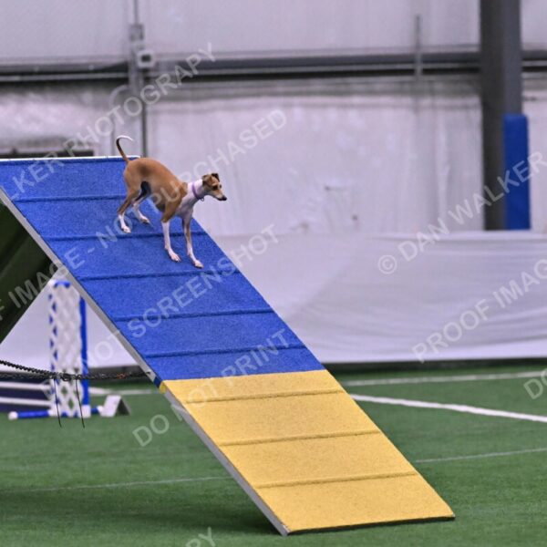 Nori-Tia-Lindeman-09530