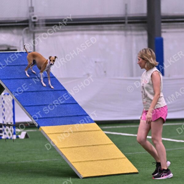 Nori-Tia-Lindeman-09532