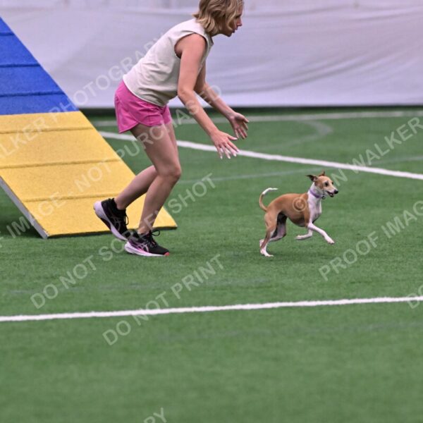 Nori-Tia-Lindeman-09536