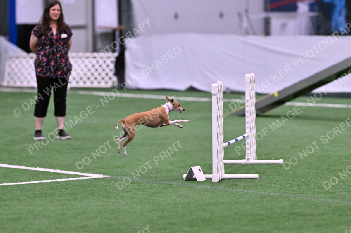 Nori-Tia-Lindeman-09539