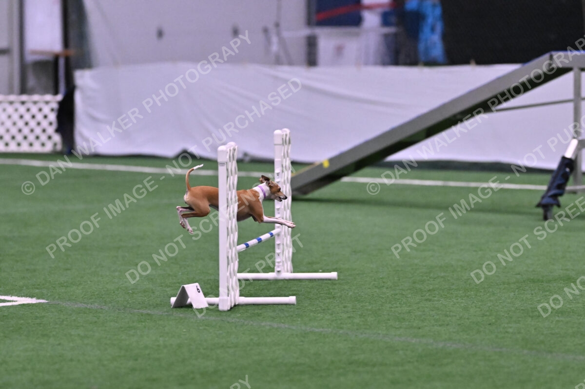 Nori-Tia-Lindeman-09541