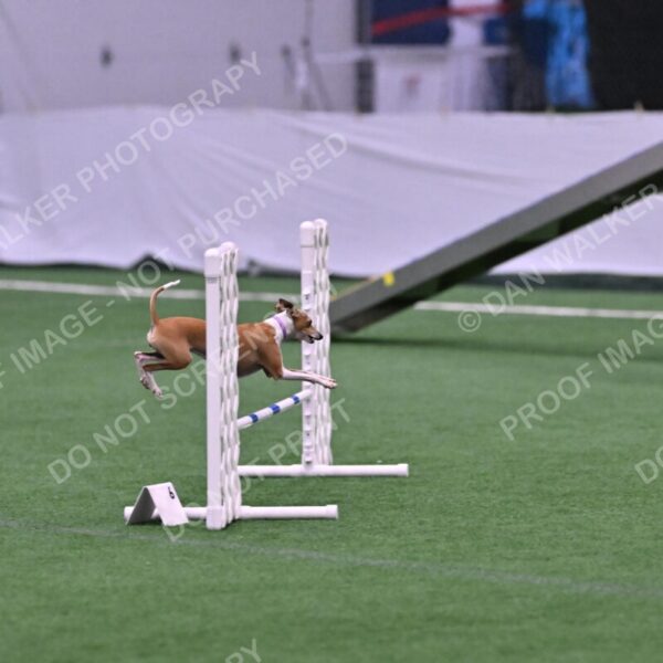 Nori-Tia-Lindeman-09541