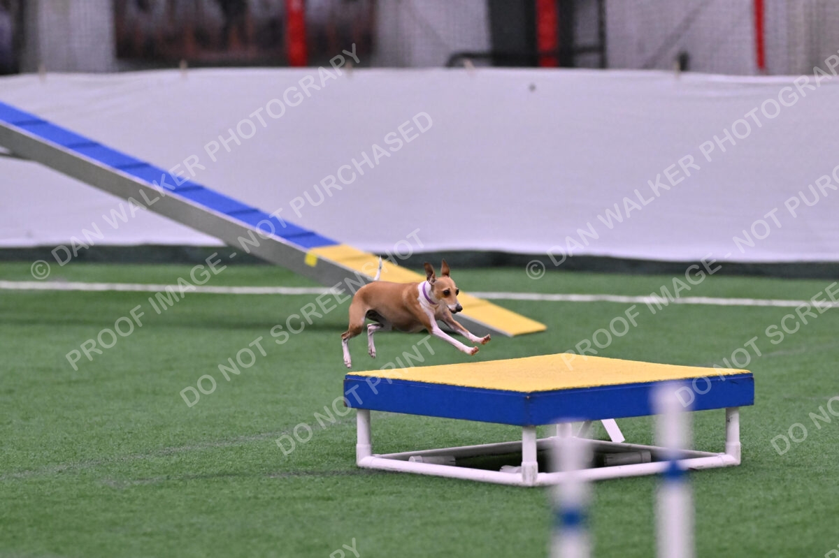 Nori-Tia-Lindeman-09542