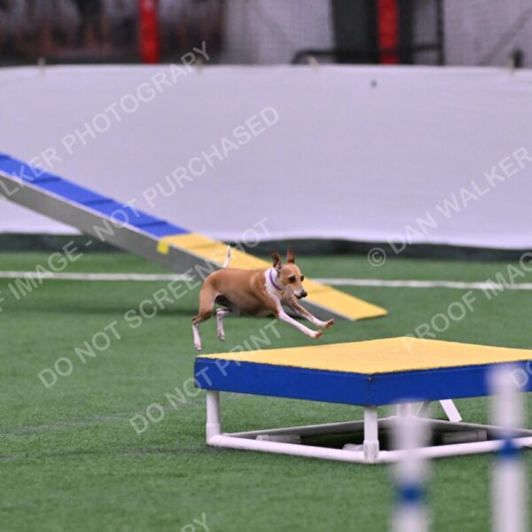 Nori-Tia-Lindeman-09542