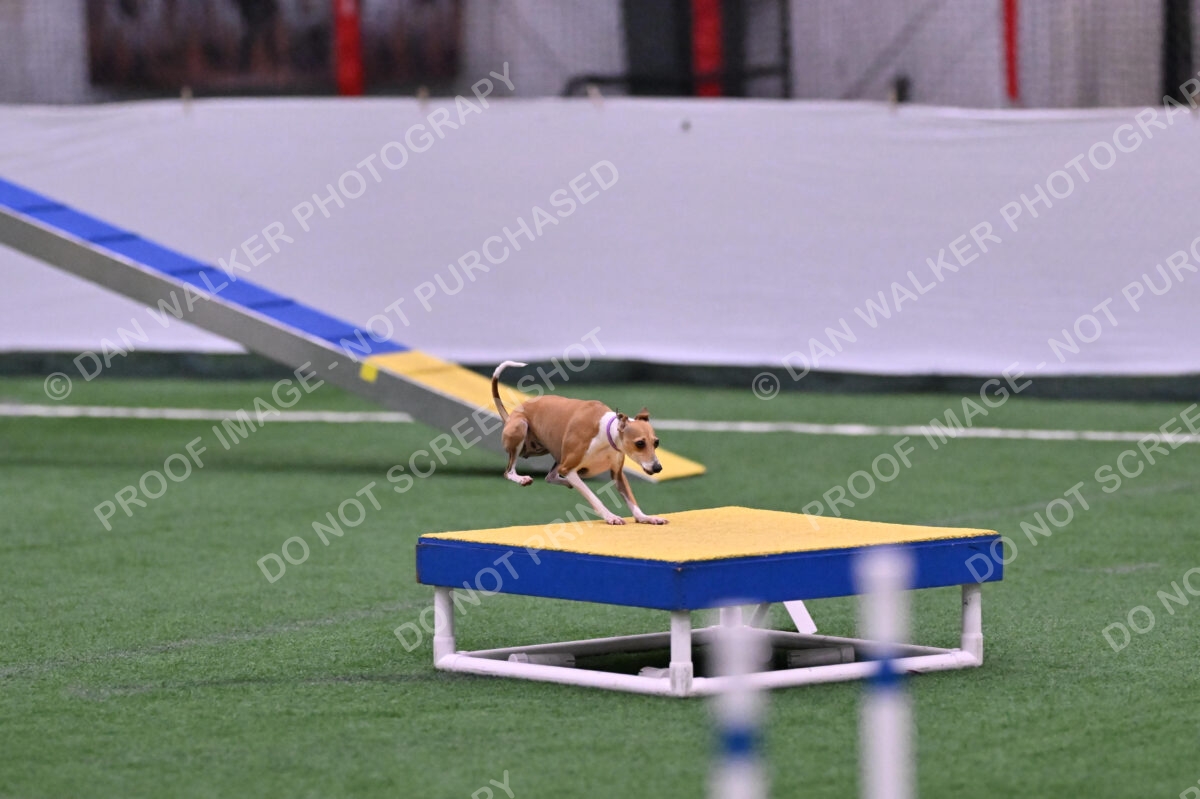 Nori-Tia-Lindeman-09543