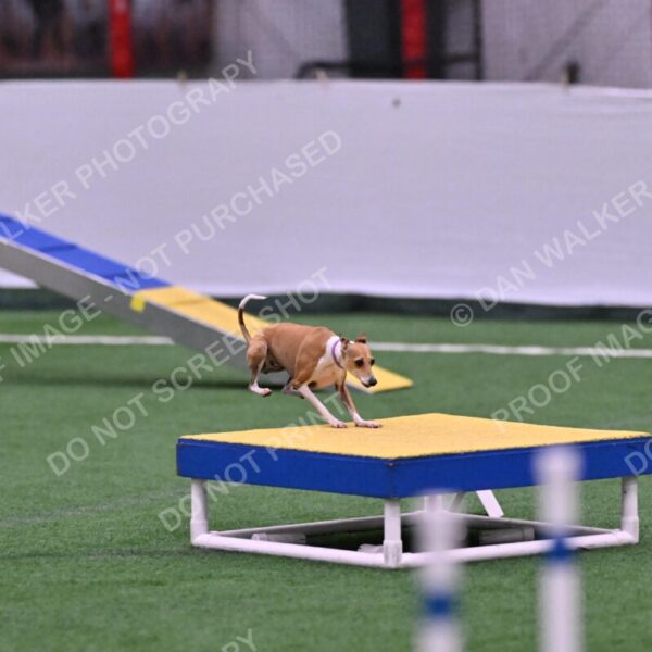 Nori-Tia-Lindeman-09543